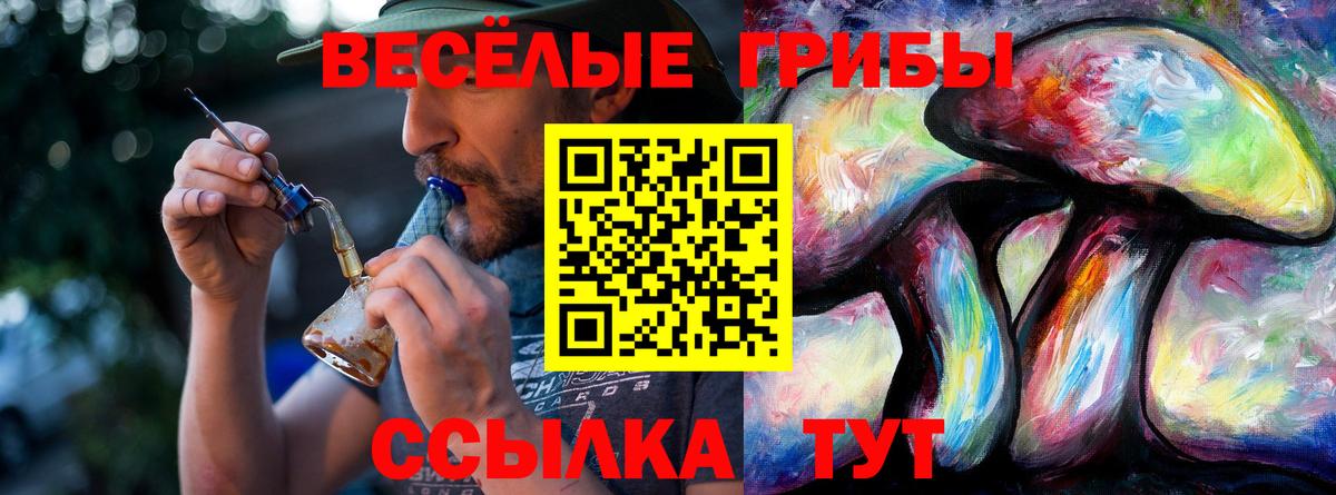 Мытищи  Галлюциногенные грибы Magic Shrooms  Псилоцибиновые грибы GOLDEN TEACHER  Вход с VPN 